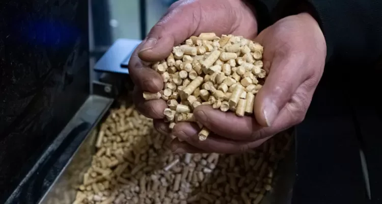 Tras largas esperas y alzas de precios: reconocen estrechez de pellet en La Araucanía