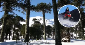 Denuncian ingreso ilegal de motos de nieve a Reserva Nacional Malalcahuello: ofrecían tours turísticos