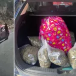 Seis condenados por tráfico de drogas en Temuco tras incautación de marihuana, cocaína y armas