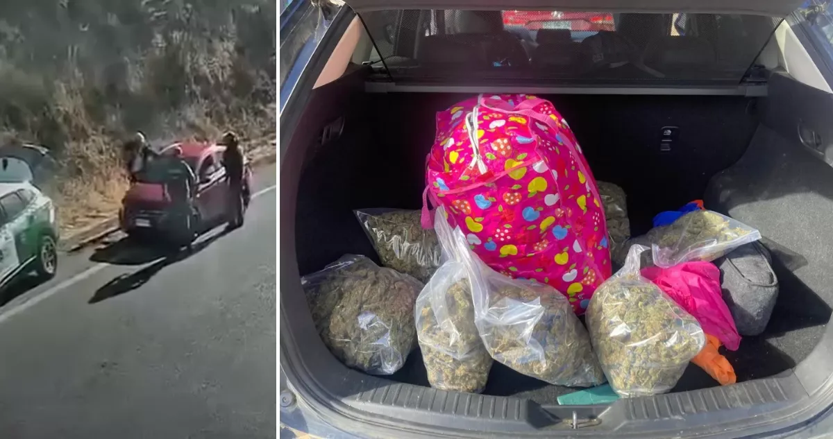 Seis condenados por tráfico de drogas en Temuco tras incautación de marihuana, cocaína y armas