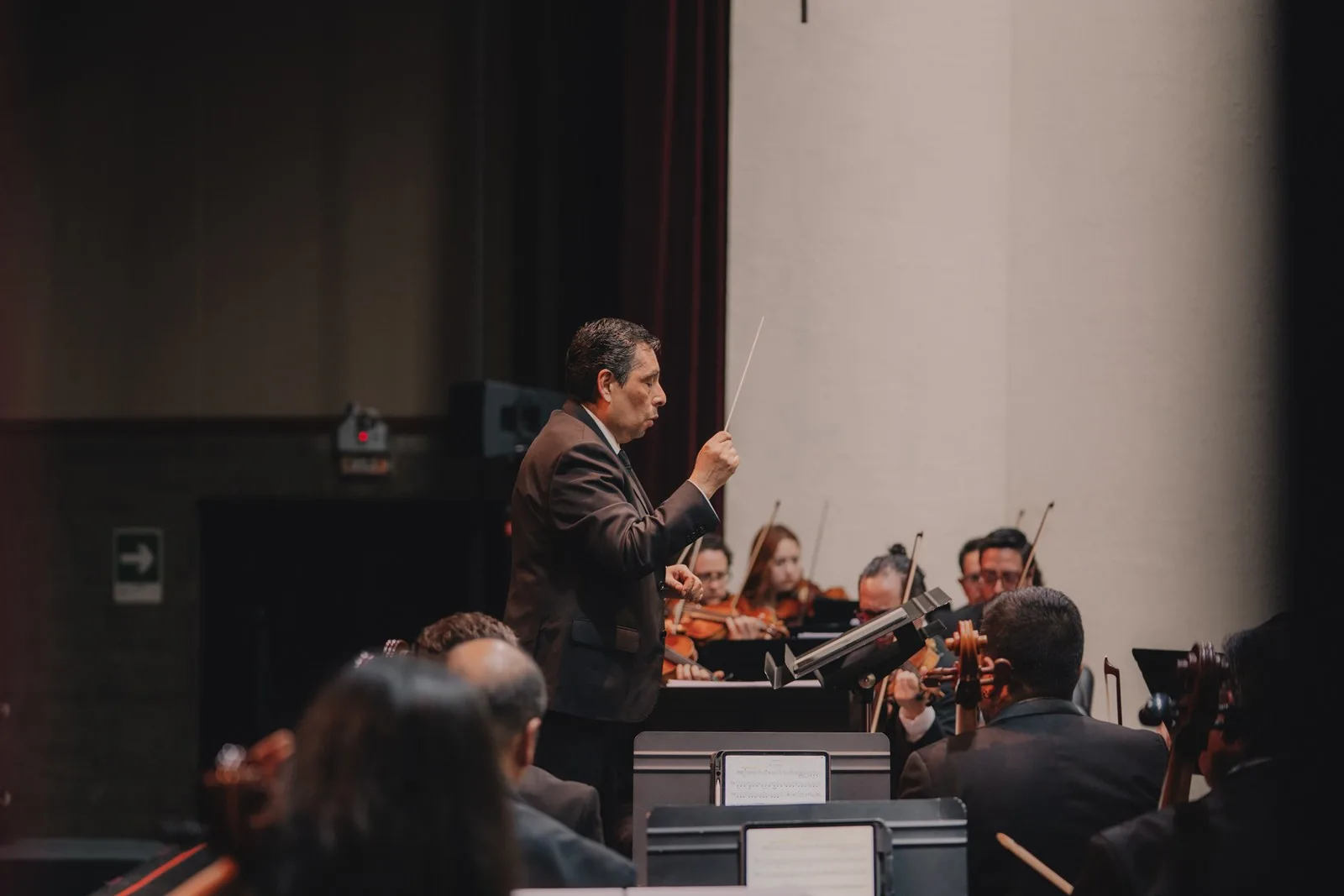 La música sinfónica llega a Villarrica: Orquesta Filarmónica de Temuco ofrecerá concierto este 10 de septiembre