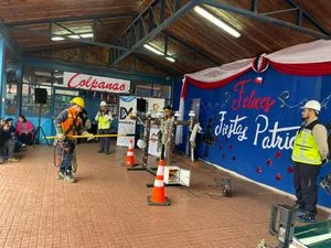 CGE lanza campaña “Volantín Seguro 2026” para prevenir accidentes eléctricos en escuela rural de Padre Las Casas  