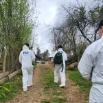 PDI descarta homicidio tras hallar cadáver de adulto mayor en Pitrufquén: murió de un paro cardíaco