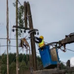 Frontel activa monitoreo preventivo de la red eléctrica por sistema frontal pronosticado para la zona sur