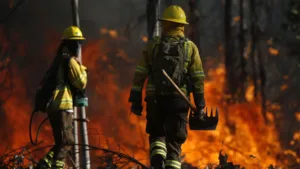 Convocan a contratación de brigadistas forestales en Cholchol