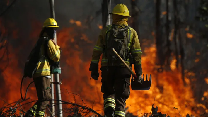 Convocan a contratación de brigadistas forestales en Cholchol