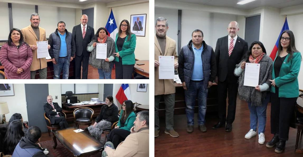 Gobierno entrega recomendación satisfactoria a proyecto de electrificación rural que beneficiará a más de 120 personas en Curacautín