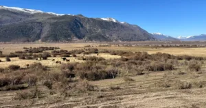 Agricultor denuncia fumigación con pesticidas en aeródromo de Lonquimay
