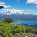 Turista alemán de 65 años fallece tras accidente en el volcán Llaima