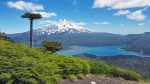 Turista alemán de 65 años fallece tras accidente en el volcán Llaima
