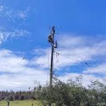 Frontel renueva 4 kilómetros de líneas eléctricas en Pidima para beneficiar a más de 350 clientes