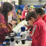 Festival de Ciencia y Tecnología llegará a Chol-Chol con experiencias para toda la familia