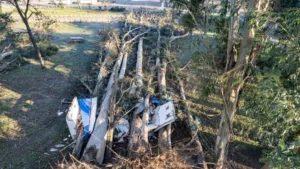 Parque Isabel Riquelme: licitación por $173 millones reabre cuestionamientos en Lautaro