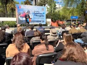 120 taxibuses y ocho gigantografías impulsan campaña para sumar Familias de Acogida en La Araucanía