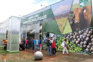 Expo Sofo 2026 llevará el campo a la ciudad con la participación de INDAP y FOSIS en La Araucanía