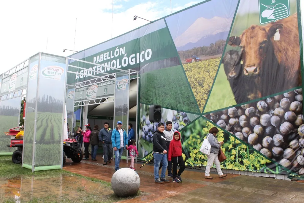 Expo Sofo 2026 llevará el campo a la ciudad con la participación de INDAP y FOSIS en La Araucanía