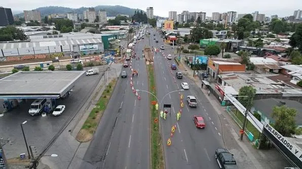 Proyecto Mejoramiento Av. Caupolicán: más de 80 árboles estarían en riesgo en Temuco