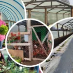 FOSIS fortalece la seguridad alimentaria de familias de La Araucanía con programas de apoyo
