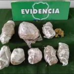 Dos detenidos por presunta infracción a la Ley de Drogas tras fiscalización en Temuco