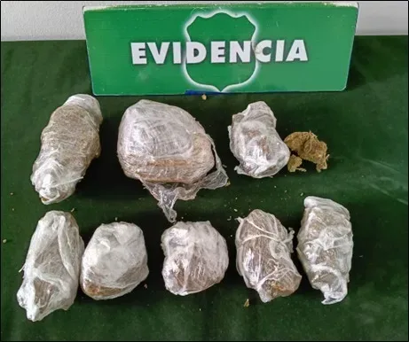 Dos detenidos por presunta infracción a la Ley de Drogas tras fiscalización en Temuco