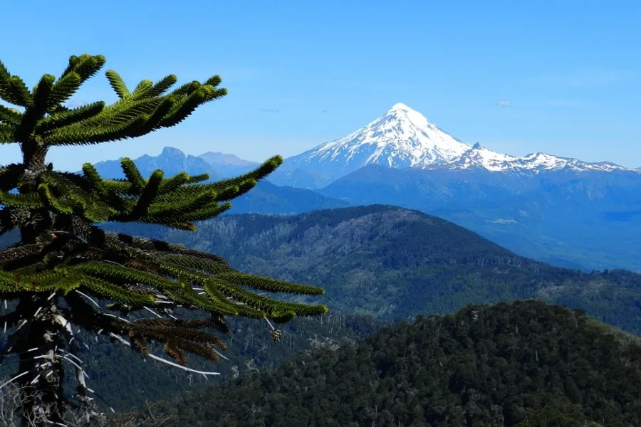 UFRO participará en seminario que conmemora 20 años de trabajo por la biodiversidad en La Araucanía