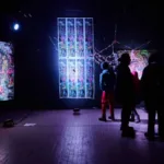 Festival Reino Fungi y Pucón Creativo abren talleres gratuitos para trabajadores culturales