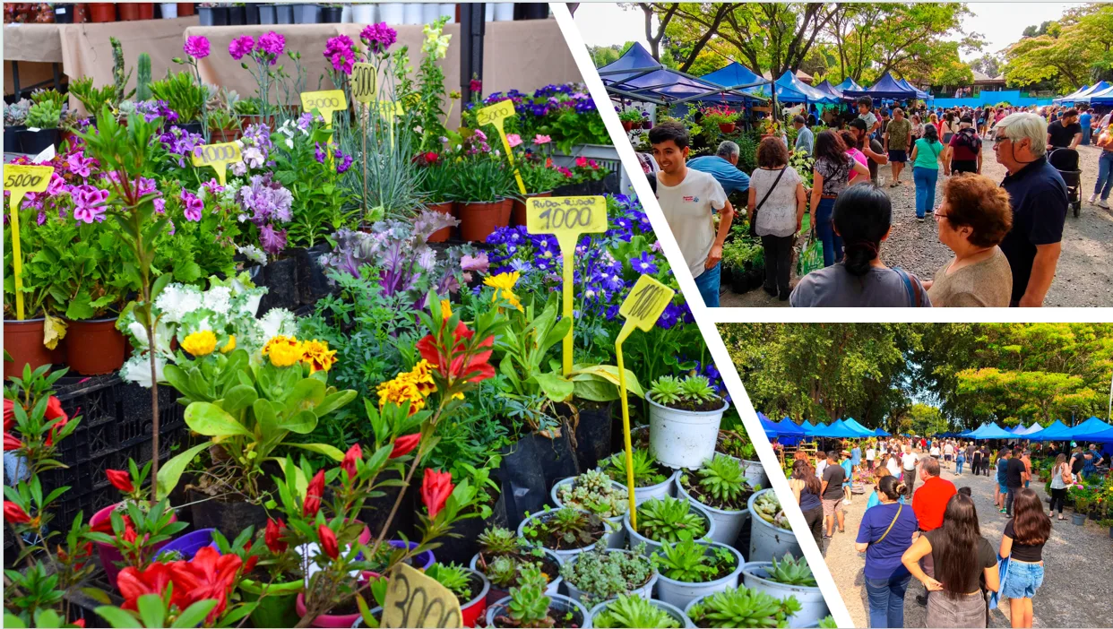 18ª Expo Flores: La tradicional y pionera fiesta verde de Temuco vuelve con más de 95 stands y entrada liberada