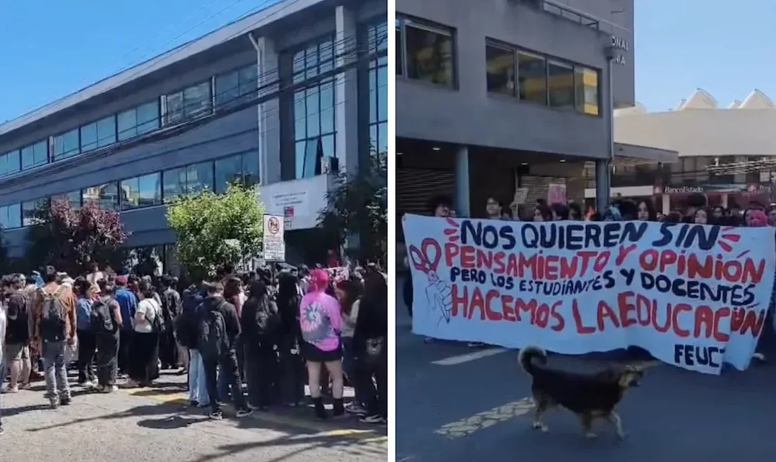 Estudiantes exigen más recursos para la educación pública mientras directora del SLEP Costa Araucanía registra sueldo de $9,2 millones